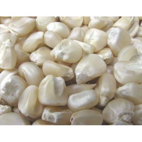 Ea Maize White Whole Kg Pack Specimen Tackle